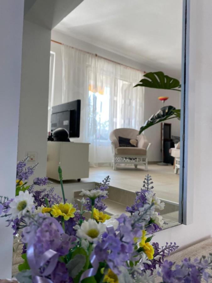 Apartment Lavanda 몰라트 외부 사진